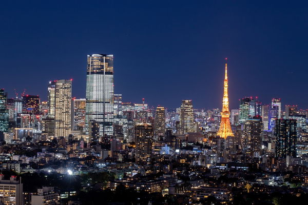 Increasing Male Employment Instability Linked to Low Marriage and Fertility Rates in Japan